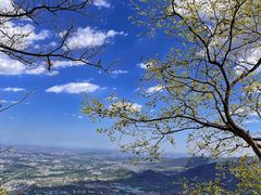 -大觉寺-停车场