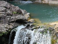 -广州白江湖森林公园