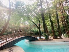 -金方森林温泉