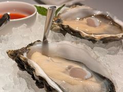 -Oyster Talks 四度蚝法餐厅