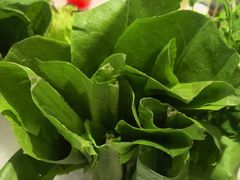 -百草滩羊清水涮羊肉·清真·宁夏盐池滩羊(莲花桥店)