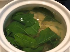 枸杞叶炖海螺-闽和南(深圳万象城店)