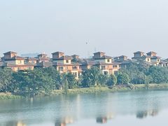 -美的鹭湖森林度假区