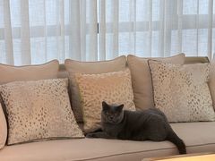 -Me Coffee下午茶艺术空间