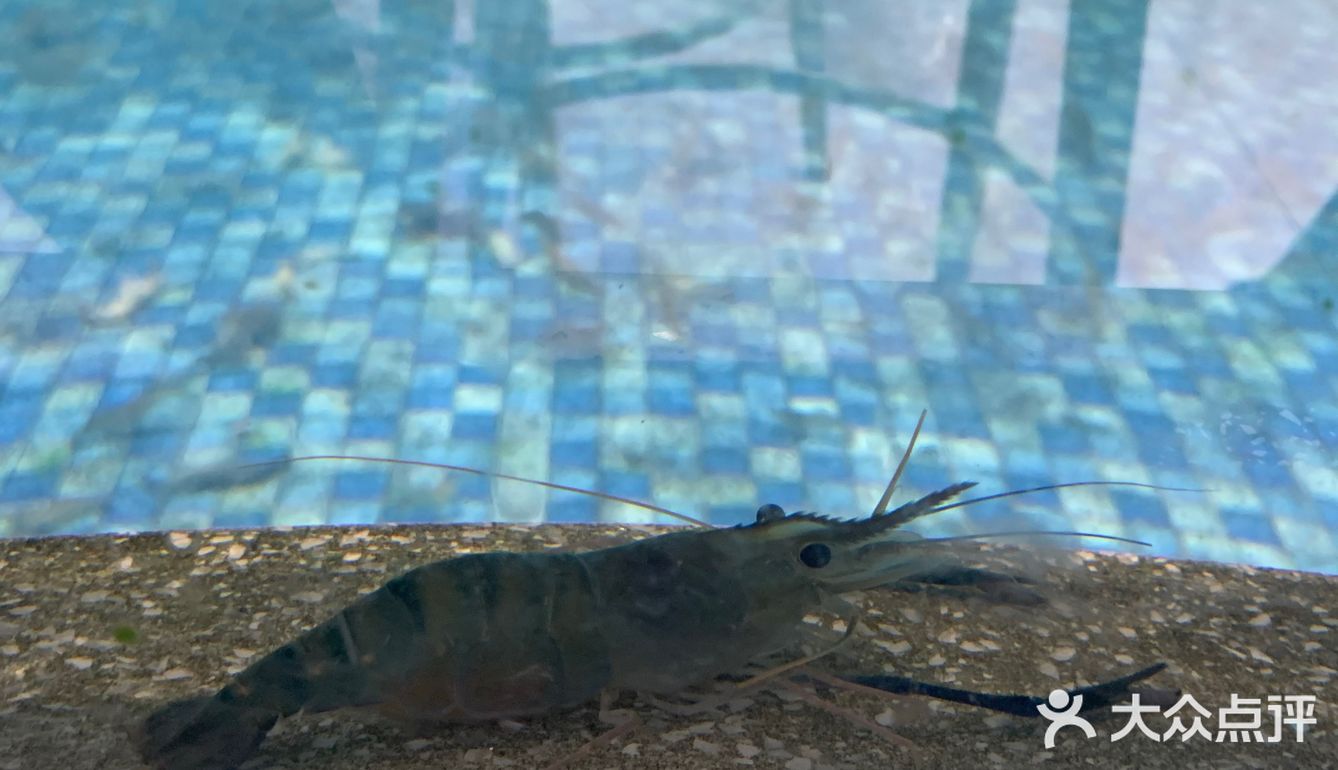 东莞探店｜钓虾工场🦐78元任钓任吃🎣来嘻虾吧