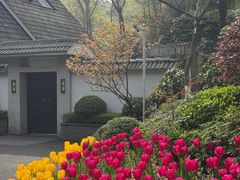 -杭州花家山庄