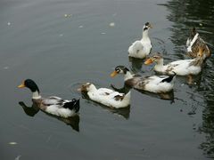 -韶山毛泽东同志故居