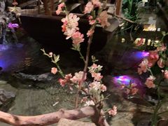 -越城记黑鱼煲(福侨大厦店)