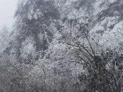 -峨眉山风景名胜区