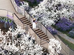 -江苏三台山国家森林公园