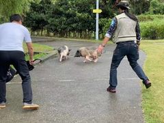 -前小桔亲子创意农场·草莓采摘·露营烧烤