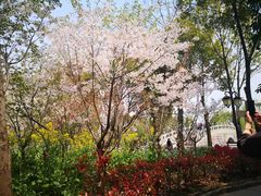 -南汇桃花村