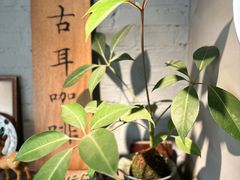 -古耳咖啡(北锣店)