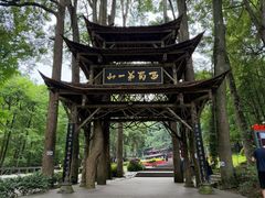 -青城山