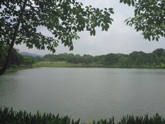 -东莞植物园