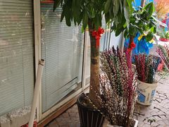 -曲阳花鸟市场(曲阳路店)