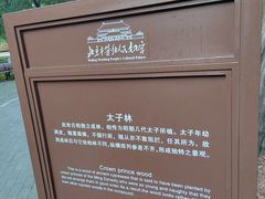 -北京市劳动人民文化宫(太庙)