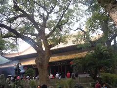 -兰剑驾校(汉阳校区)