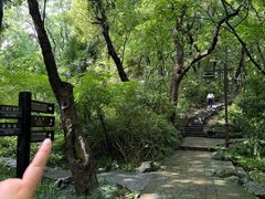-城隍阁