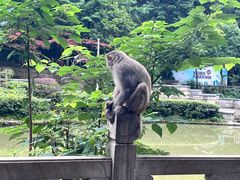 -黔灵山公园