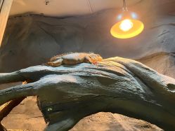 -Zoolung Zoolung动物主题公园(海信广场店)