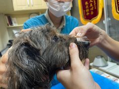 -芭比堂宠物医院·全科爱猫医院·仁德分院