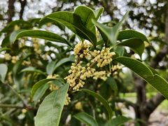 -白塘生态植物园