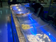 -小科自助海鲜烧肉(高区店)