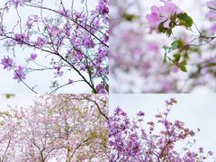 -露天矿生态公园