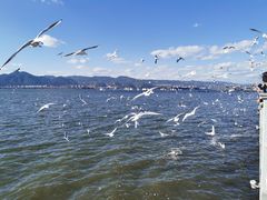 -海埂大坝