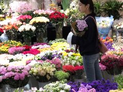 -双季花艺园艺市场(浦东店)