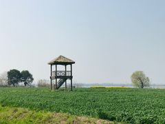 -莲花岛景区