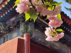 -北京艺术博物馆(万寿寺)