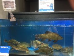 -盒马鲜生(皇庭广场店)