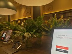 -新加坡瑞士史丹福酒店