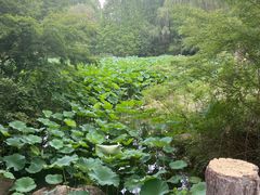 -新洲生态园