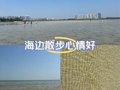 -北海金海湾红树林生态旅游区