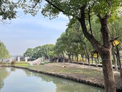 -沙家浜风景区