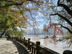 -江心屿景区