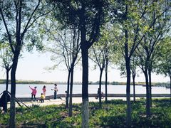 -天津东丽湖风景区