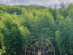 -玉苍山国家森林公园