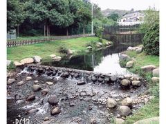 -白马涧龙池景区
