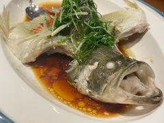 -红棉中餐厅·广州海航威斯汀酒店