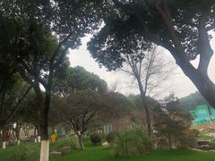 -昆山城市生态森林公园
