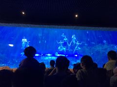 -华夏文旅西安度假区