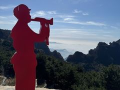 -王莽岭风景区