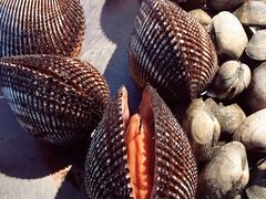 -海味当家·蒸锅海鲜(星海公园店)