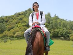 -关山草原
