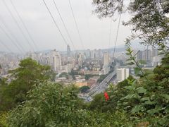 -金鸡山公园