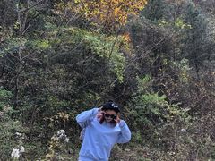 -秦岭风景区